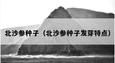 北沙参种子（北沙参种子发芽特点）