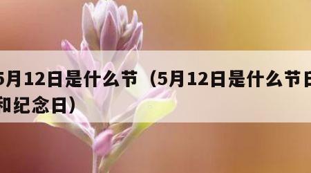 5月12日是什么节（5月12日是什么节日和纪念日）