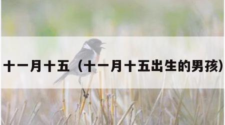十一月十五（十一月十五出生的男孩）