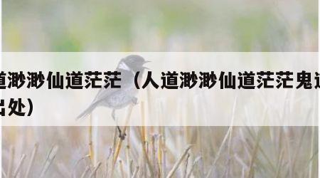 人道渺渺仙道茫茫（人道渺渺仙道茫茫鬼道乐兮出处）