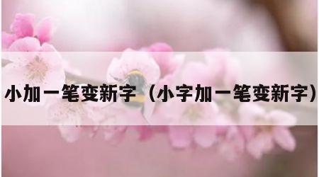 小加一笔变新字（小字加一笔变新字）