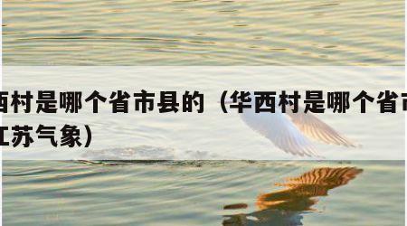 华西村是哪个省市县的（华西村是哪个省市县的江苏气象）