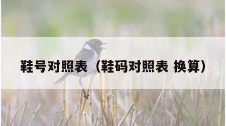 鞋号对照表（鞋码对照表 换算）