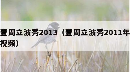 壹周立波秀2013（壹周立波秀2011年视频）