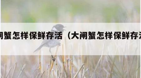 大闸蟹怎样保鲜存活（大闸蟹怎样保鲜存活冰箱）