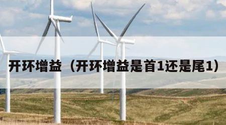 开环增益（开环增益是首1还是尾1）