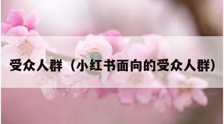 受众人群（小红书面向的受众人群）