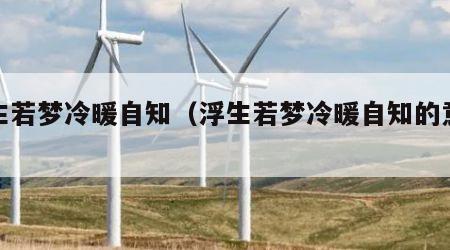 浮生若梦冷暖自知（浮生若梦冷暖自知的意思）