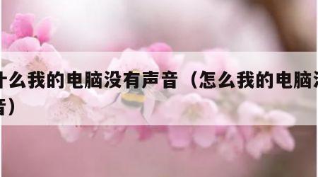 为什么我的电脑没有声音（怎么我的电脑没有声音）