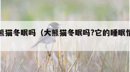 大熊猫冬眠吗（大熊猫冬眠吗?它的睡眠情况）