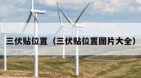三伏贴位置（三伏贴位置图片大全）