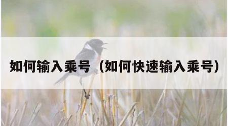 如何输入乘号（如何快速输入乘号）