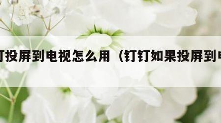 钉钉投屏到电视怎么用（钉钉如果投屏到电视上）