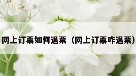 网上订票如何退票（网上订票咋退票）