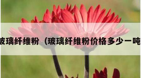 玻璃纤维粉（玻璃纤维粉价格多少一吨）