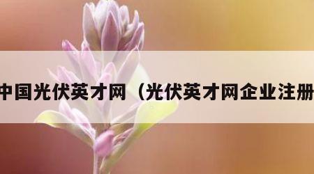 中国光伏英才网（光伏英才网企业注册）
