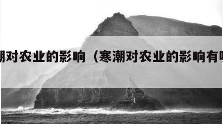 寒潮对农业的影响（寒潮对农业的影响有哪些）