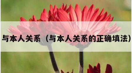 与本人关系（与本人关系的正确填法）