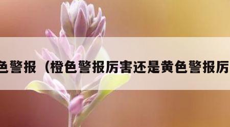 橙色警报（橙色警报厉害还是黄色警报厉害）