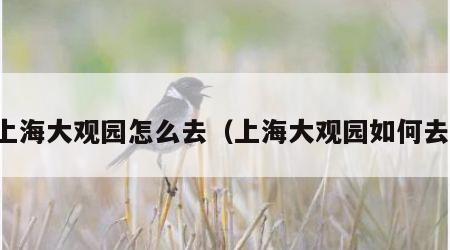 上海大观园怎么去（上海大观园如何去）
