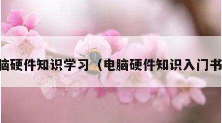 电脑硬件知识学习（电脑硬件知识入门书籍）
