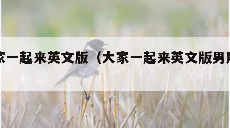 大家一起来英文版（大家一起来英文版男声翻唱）