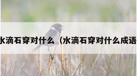 水滴石穿对什么（水滴石穿对什么成语）
