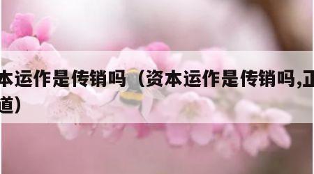 资本运作是传销吗（资本运作是传销吗,正面报道）