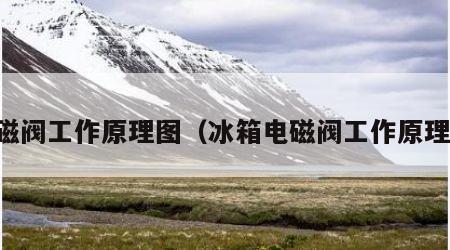 电磁阀工作原理图（冰箱电磁阀工作原理图）