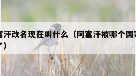 阿富汗改名现在叫什么（阿富汗被哪个国家灭国了）