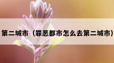 第二城市（罪恶都市怎么去第二城市）