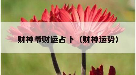 财神爷财运占卜（财神运势）