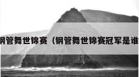 钢管舞世锦赛（钢管舞世锦赛冠军是谁）