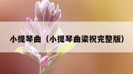 小提琴曲（小提琴曲梁祝完整版）