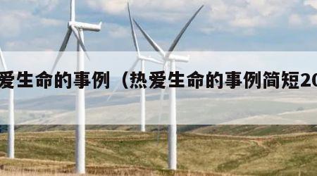 热爱生命的事例（热爱生命的事例简短20字）