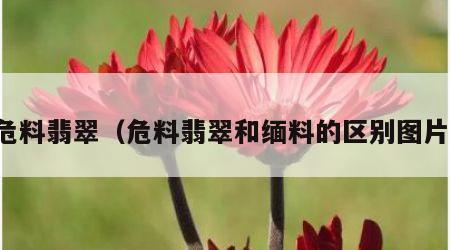 危料翡翠（危料翡翠和缅料的区别图片）