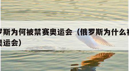 俄罗斯为何被禁赛奥运会（俄罗斯为什么被禁止奥运会）