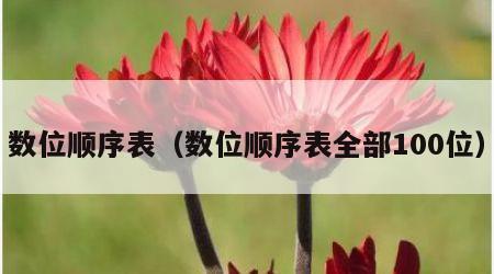 数位顺序表（数位顺序表全部100位）