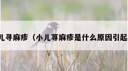 幼儿寻麻疹（小儿荨麻疹是什么原因引起的）