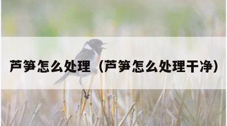 芦笋怎么处理（芦笋怎么处理干净）