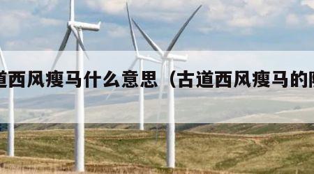古道西风瘦马什么意思（古道西风瘦马的隐喻）