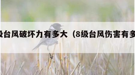 8级台风破坏力有多大（8级台风伤害有多大）