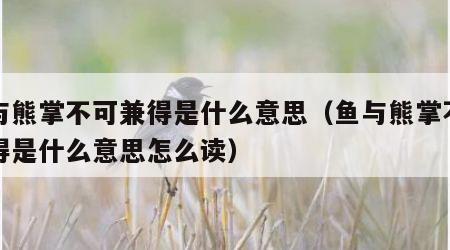鱼与熊掌不可兼得是什么意思（鱼与熊掌不可兼得是什么意思怎么读）