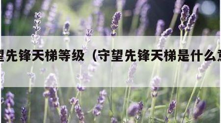 守望先锋天梯等级（守望先锋天梯是什么意思）