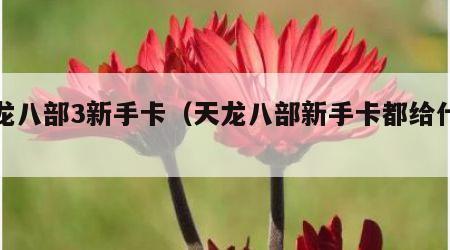 天龙八部3新手卡（天龙八部新手卡都给什么）