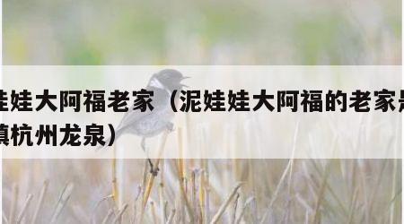 泥娃娃大阿福老家（泥娃娃大阿福的老家是景德镇杭州龙泉）