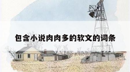 包含小说肉肉多的软文的词条