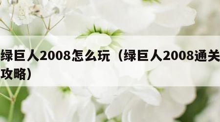 绿巨人2008怎么玩（绿巨人2008通关攻略）