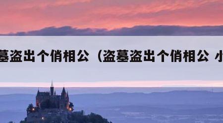 盗墓盗出个俏相公（盗墓盗出个俏相公 小说）
