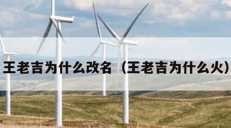 王老吉为什么改名（王老吉为什么火）